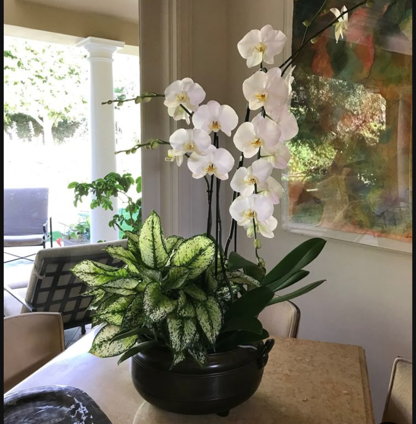 Orchid Mix