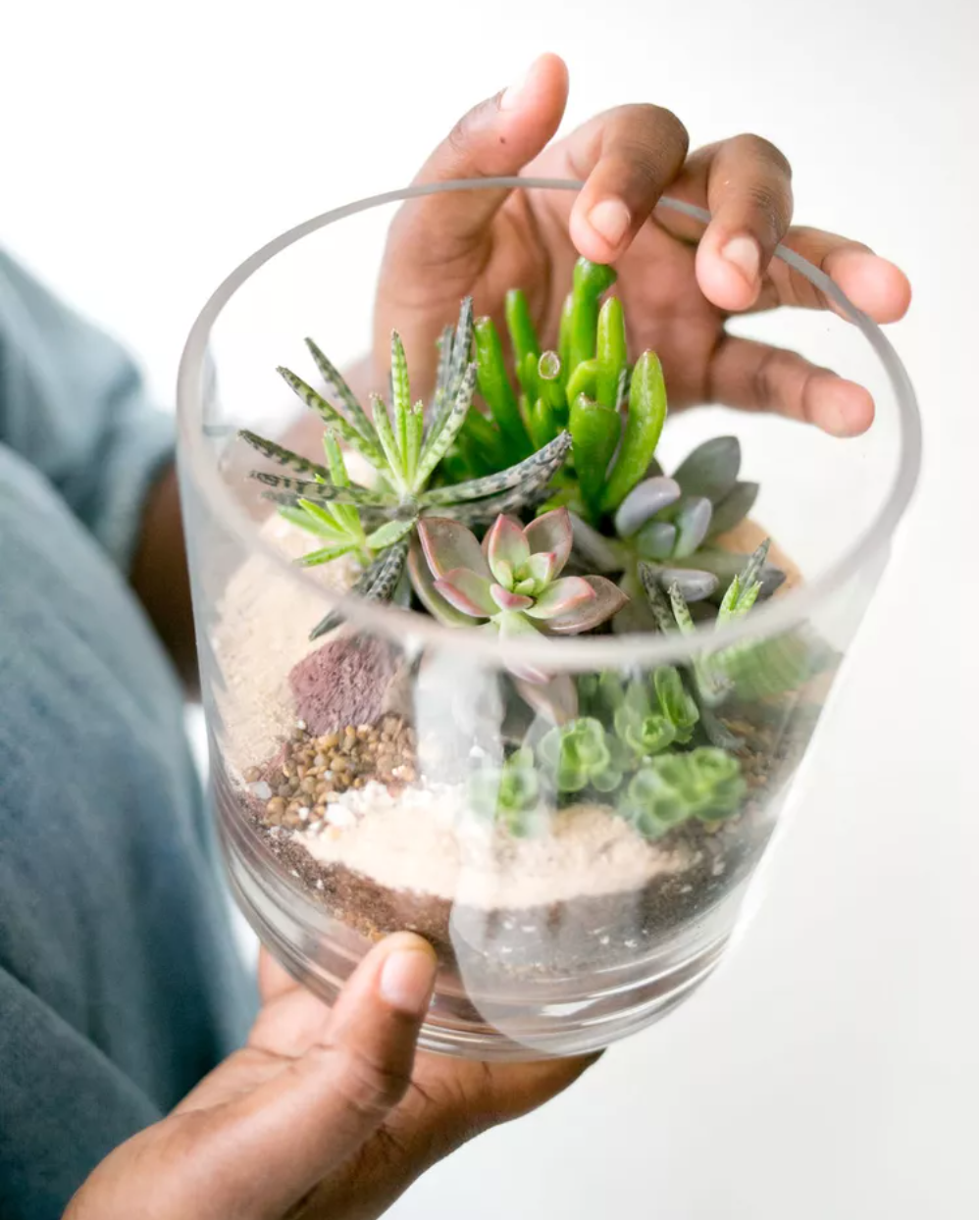 Succulent Terrarium