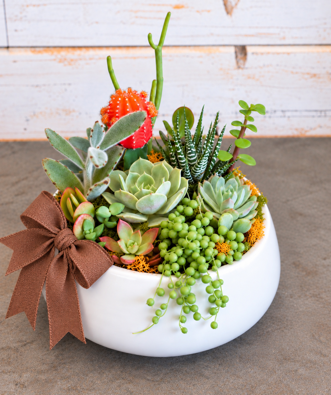 Succulent Oasis Ceramic Garden
