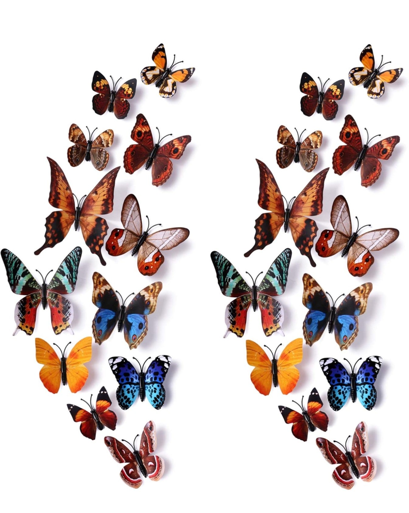 Butterfly for your bouquet