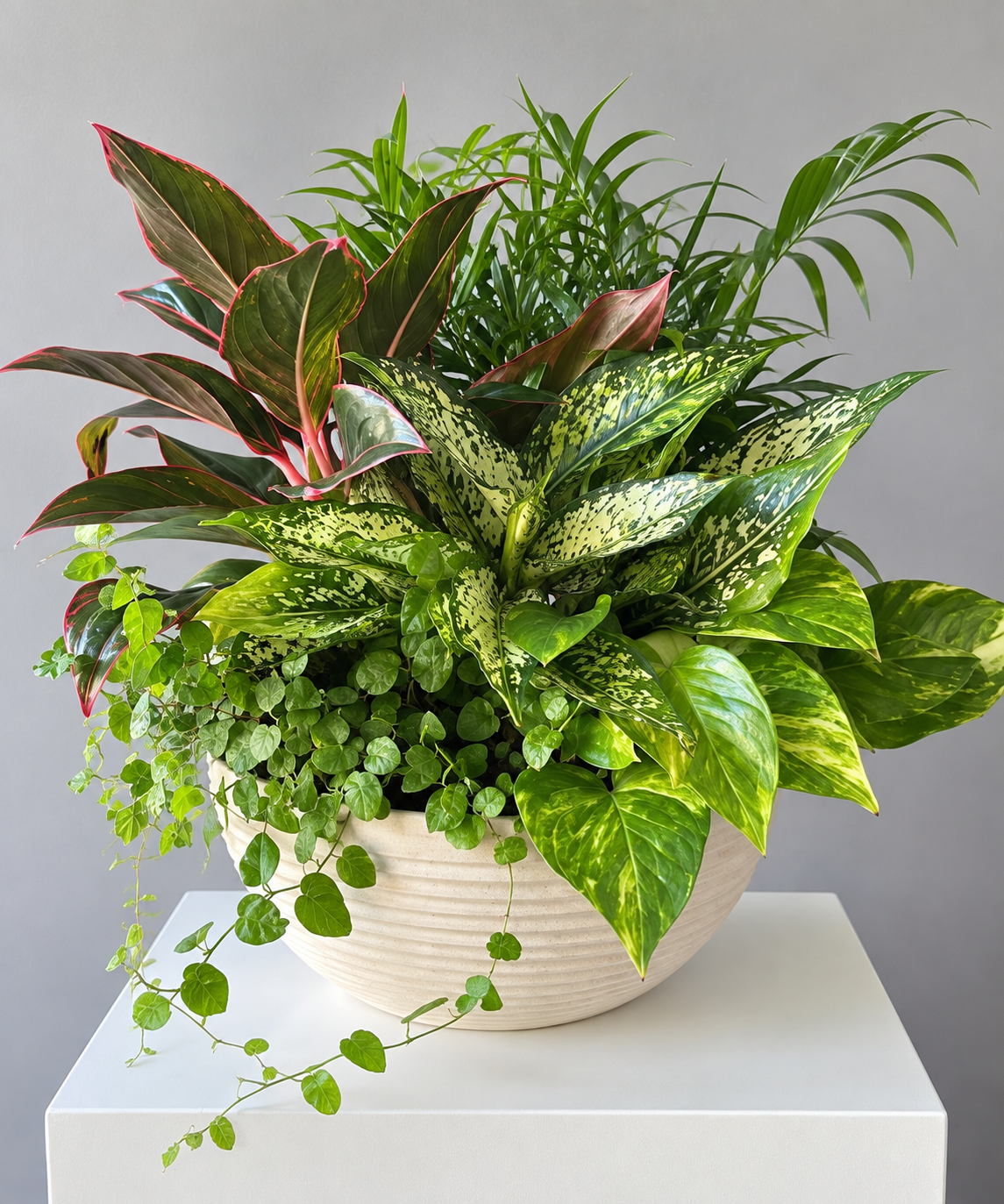 Mixed Plant Garden in Ceramic Vase