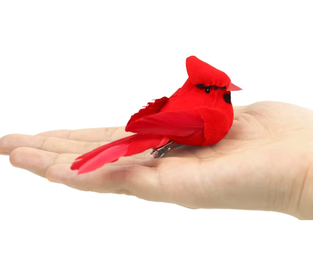 Red Cardinal Bird