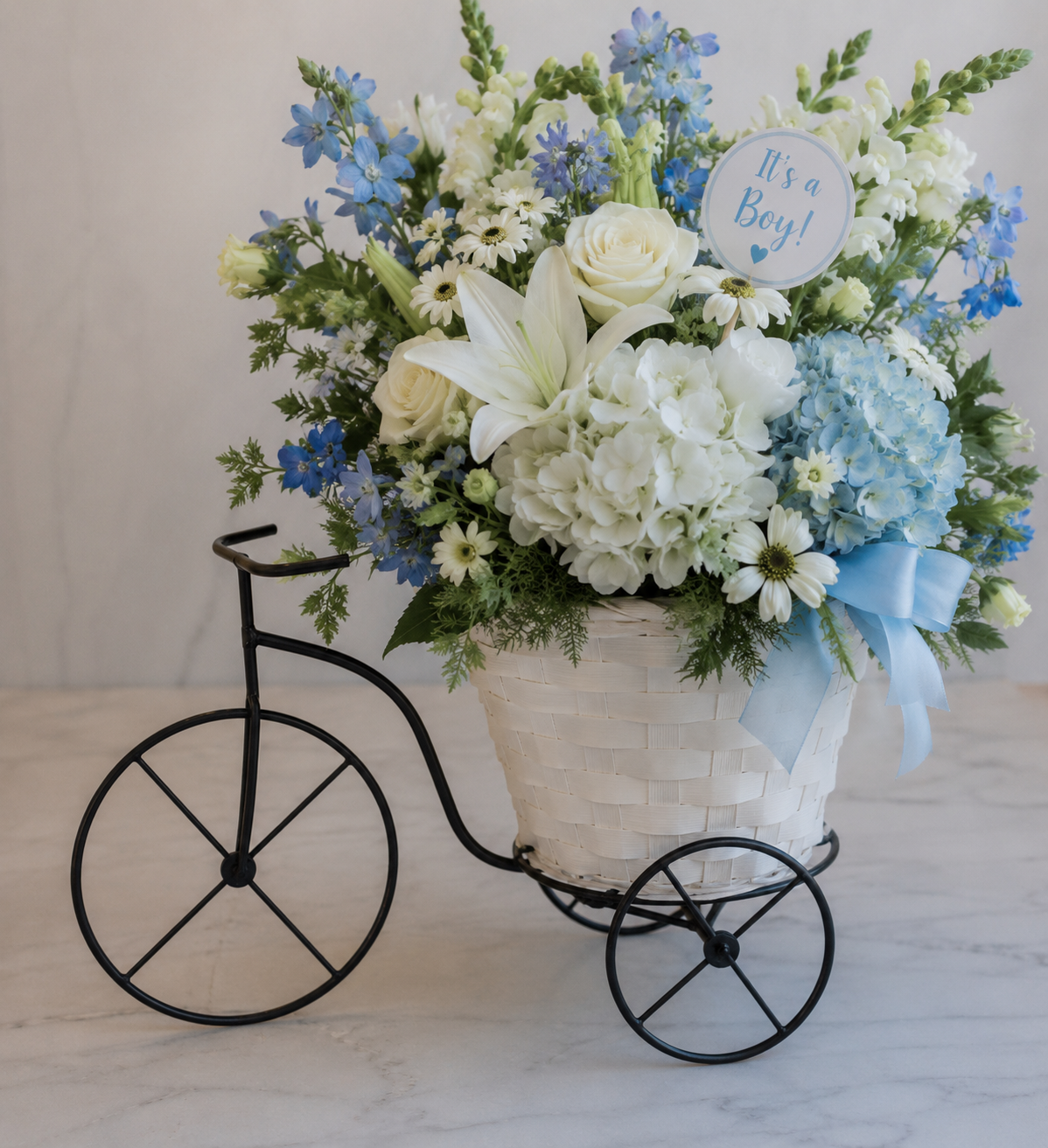 New Baby Boy Bicycle Basket